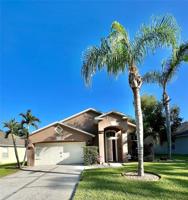 3339 CASTLE ROCK