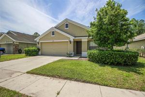 13036 OLD FLORIDA