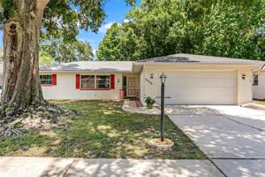 3230 SPANISH MOSS