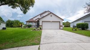 16549 COOPERS HAWK