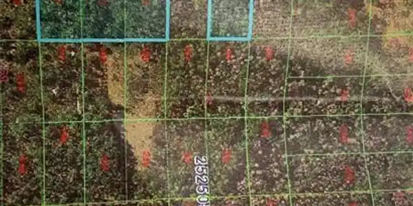 1246946