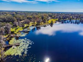 16928 PARSONAGE LAKE