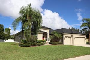 3151 TWISTED OAK