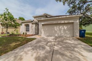 12851 TURNSTONE