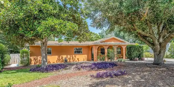 2141 CAMELLIA