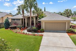 8400 ISLAND PALM