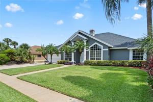 8407 ISLAND PALM