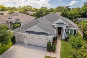 1581 MAPLE