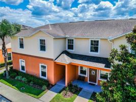 4157 SHADE TREE