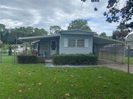 26151 FERN