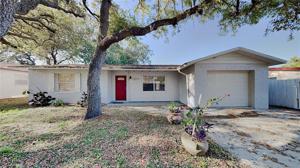 5547 GOLDEN NUGGET