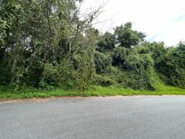 TBD OAK LANE