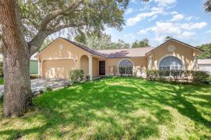 521 WHISKEY CREEK