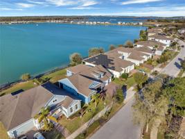 589 BLUE CYPRESS