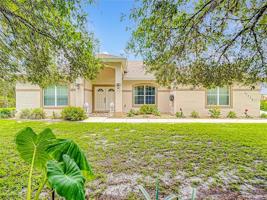41224 PERSIMMON