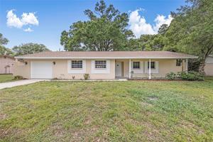 3753 HOLLOW OAK