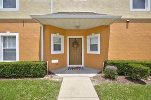 4182 WINDING VINE
