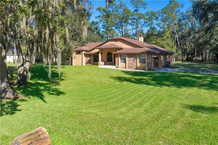 12229 GRAY BIRCH