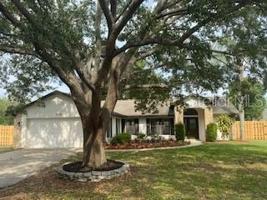 2709 BUTTERNUT