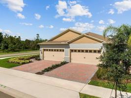 3602 MEADOW BEAUTY