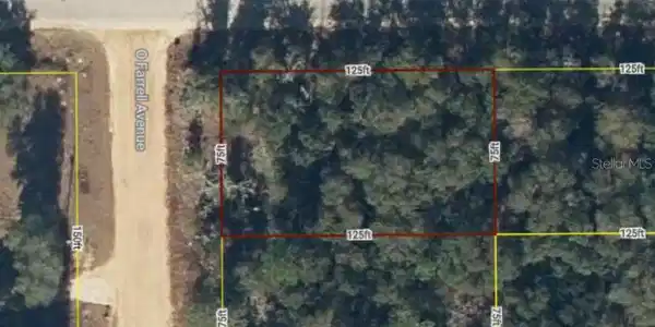 Lot 1 O'FARRELL AVENUE