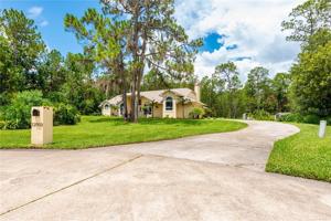 12053 GRAY BIRCH