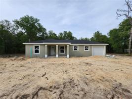 203 LOCUST PASS CT