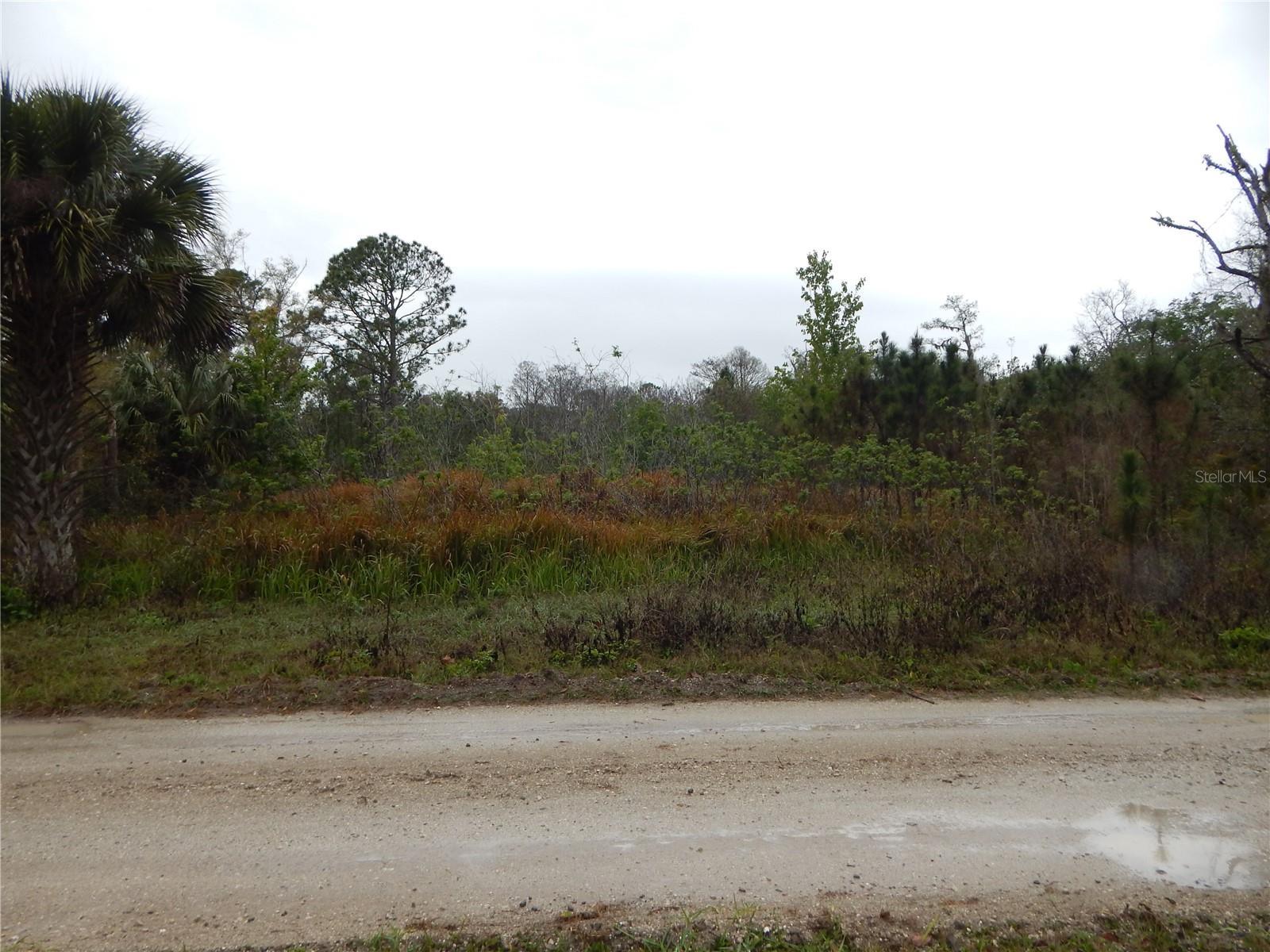 Image 1 Image 1