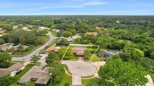 7504 CYPRESS KNEE