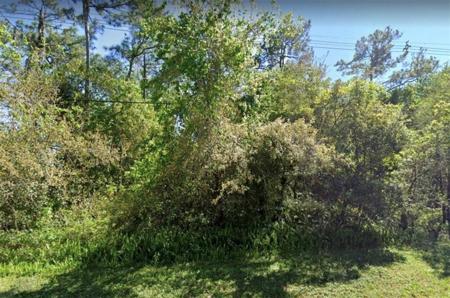 14128 LAKE MARY JANE
