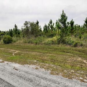 CALLIANDRA DRIVE