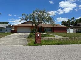 6619 ORANGE KNOLL