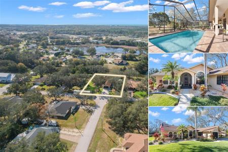 361 DAN RIVER DRIVE