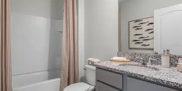 Image 4 Image 4