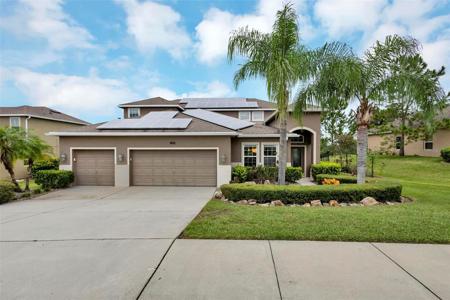 11748 BUTTONHOOK DRIVE