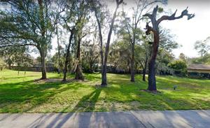 3513 OCOEE APOPKA