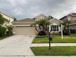 3553 MORGANS BLUFF