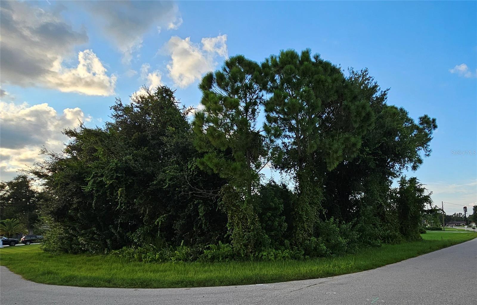 Image 1 Image 1