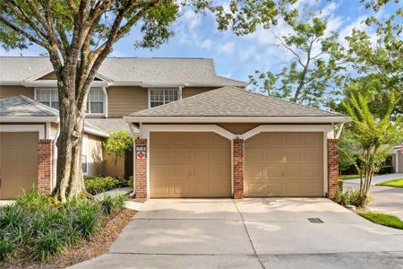 673 SCARLET OAK