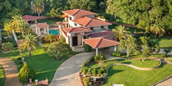 240 LIVE OAK
