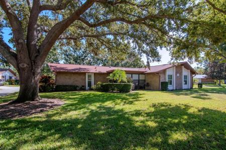 2281 SHELLY DRIVE