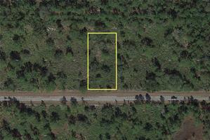 1104 ALLAMANDA