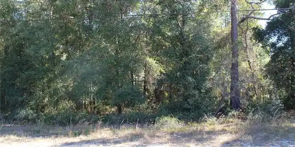 5584 COUNTY ROAD 352