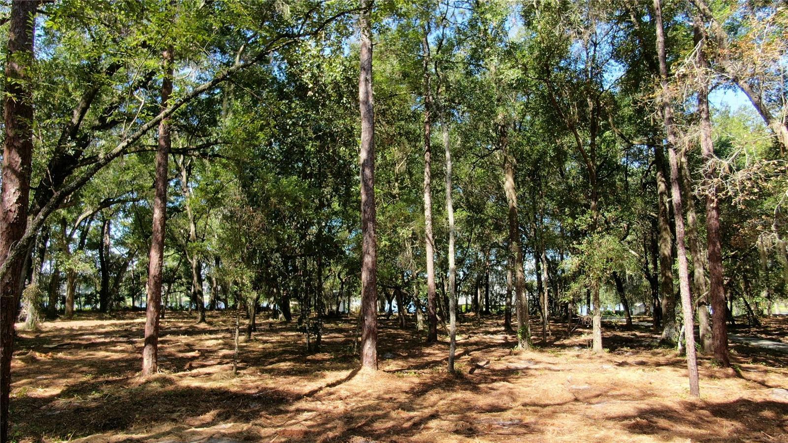 Image 4 Image 4