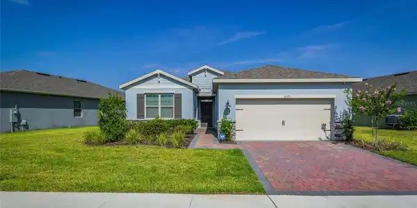 3629 BLUE SAGE