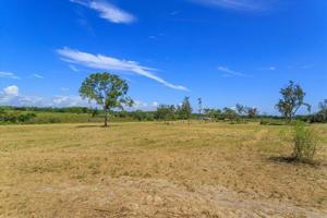 Lot 1 PINE ISLAND