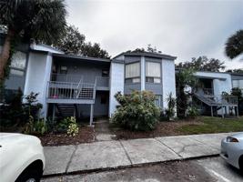 2428 LEMON TREE