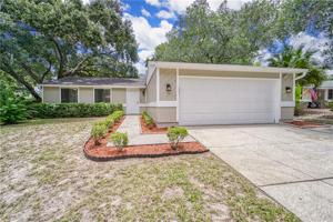 2863 HONEY BEAR COURT