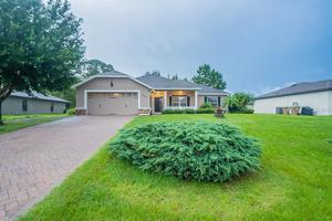 12137 BUTTONBUSH