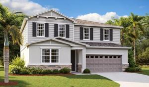 10181 SPRING LAKE